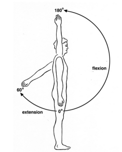 shoulder-flexion-and-extension